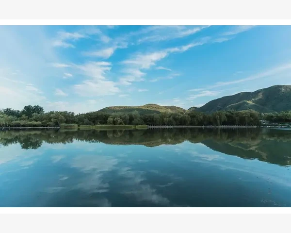 背后长痘痘怎么调理